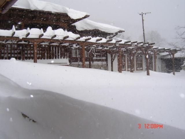 The House With The Vine Guest House Zheravna Exterior foto